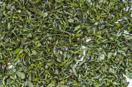 dry dried mint close upの写真素材