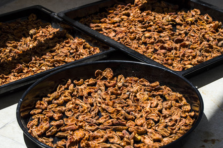 Fruit dries, dried apricot fruit in the summer sun, Pictures of natural and organic apricot for...