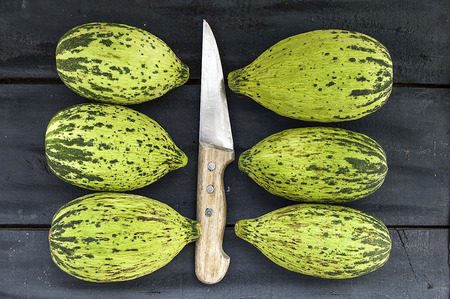 cut a small melon with a knife, eat an immature melon, immature small melons,の写真素材