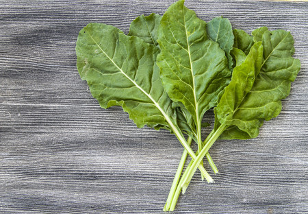 Fresh and natural chard leaves, chard, which is made by wrapping and scalding delicious food,の写真素材