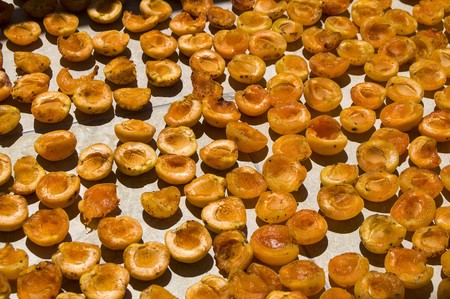 Natural and organic apricots dried in sunlight are important for healthの写真素材