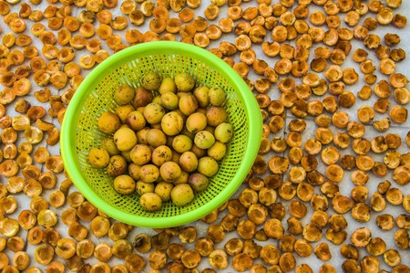 Dried apricots in the sun, dried apricots in the sun, dried apricots in the sun, dried apricots in the sun, dried apricots in the sun,の写真素材