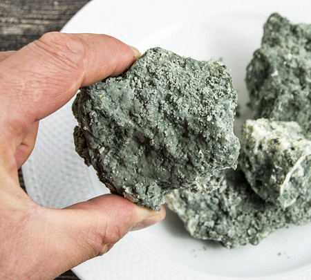 moldy cheese, penicillin raw materials moldy cheese,