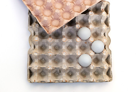 egg box and white chicken eggs