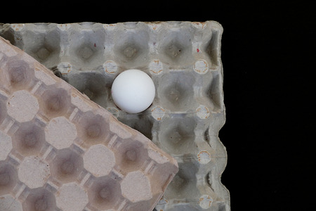 egg on white background