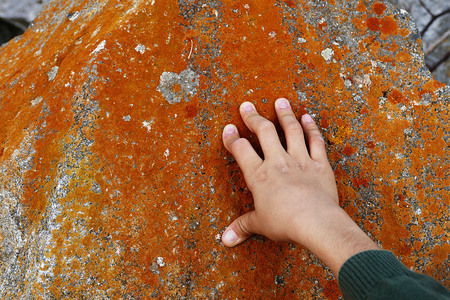 mossy rocks, moss on the north side of the rocks, direction finding techniques,の写真素材