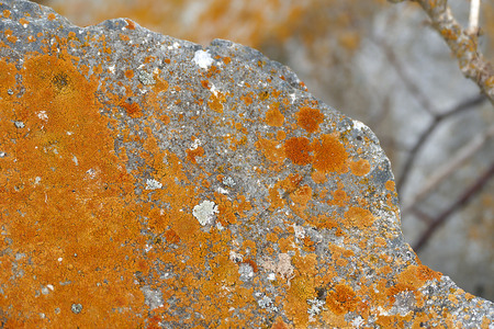 mossy rocks, moss on the north side of the rocks, direction finding techniques,の写真素材
