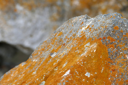 mossy rocks, moss on the north side of the rocks, direction finding techniques,の写真素材