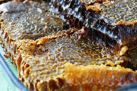 wonderful honey pictures