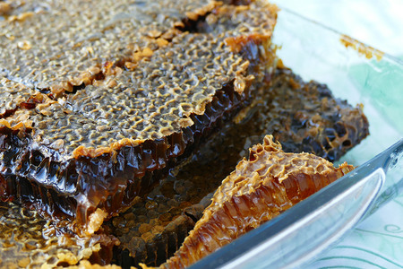 honeycomb, honeycomb honey, honeycomb honey, honeycomb honey