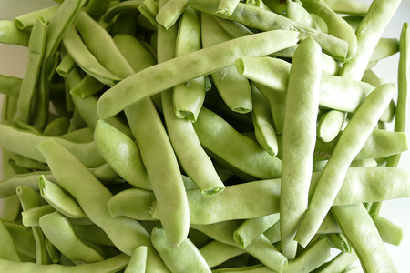 fresh green beansの写真素材