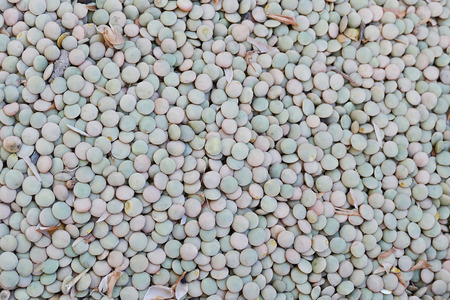 green dry lentils separated for cooking,の写真素材