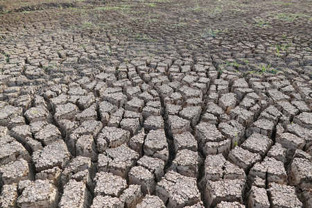 result of global warming