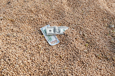 Stack of 100 usa dollars and chickpeasの写真素材