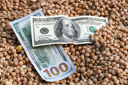 dry chickpeas and 100 usa dollars close-upの写真素材