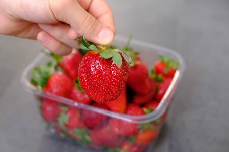 1 kg fresh strawberries in plastic box, on gray wooden backgroundの写真素材