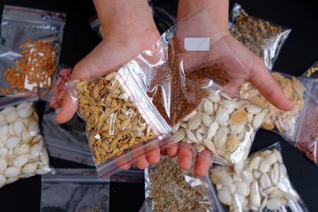 Natural organic cucumber, okra, pepper, cress, arugula, etc. seedsの写真素材