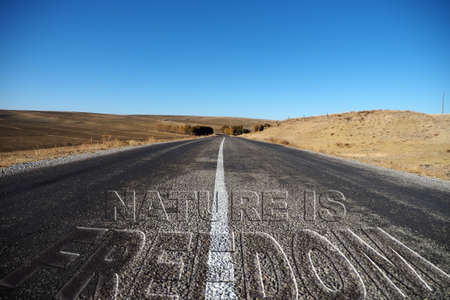 graffiti work written on an asphalt road, "nature is freedom".の写真素材