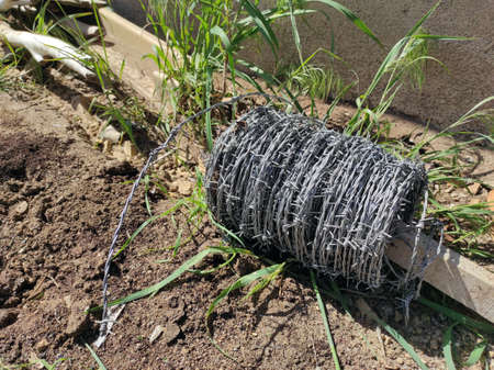 a roll of barbed wire, garden fence wire