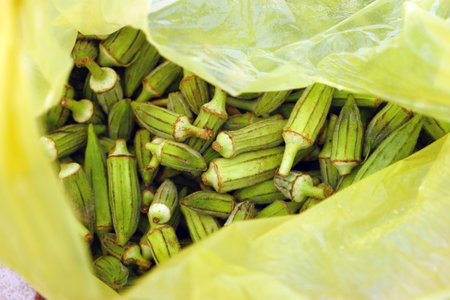 okra fruit in the hand of a cook, a large amount of fresh okra,