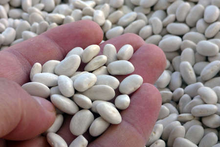 global warming and climate agreement, the production of agricultural products in the world is...