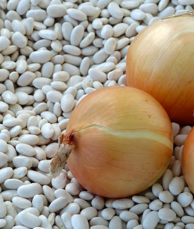 onion, white beans, dry beans and onions Turkish style,の写真素材