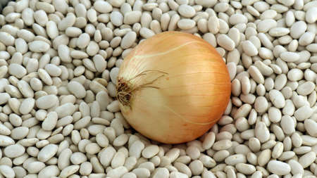 close-up large onion stands on white dried beans, onions and beans,