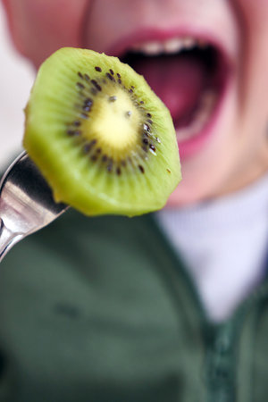 a child eating a kiwi with his mouth open, a slice of kiwi fruit stuck in a fork,の写真素材