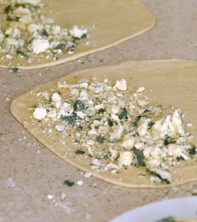 Moldy Cheese in a Plate,