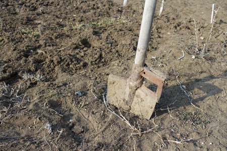 digging the garden area for planting with a digging shovel, digging shovel and hoeing the soil,