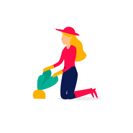 Woman pulls bumps from the ground, farming. Flatのイラスト素材