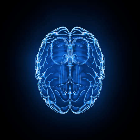 Brain model x-ray look isolated on black background, top view
