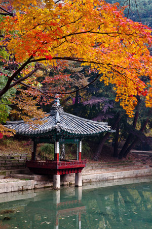 Autumn viewのeditorial素材