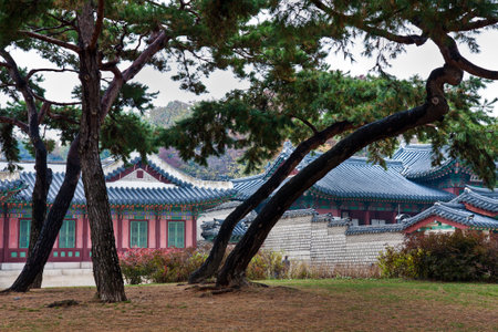 View of palace with pine treeのeditorial素材