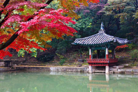 Autumn foliage and gazeboのeditorial素材