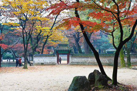 View of garden with autumn foliage in palace のeditorial素材