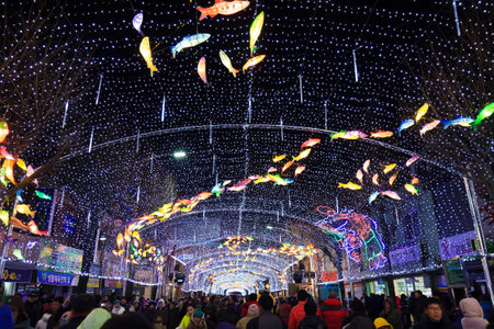 Lighting festivalのeditorial素材