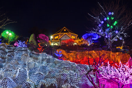 Park decorated with lightingのeditorial素材