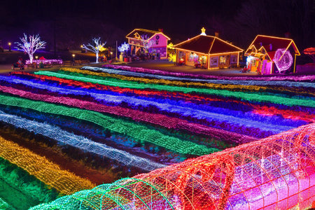 Lightings in the parkのeditorial素材
