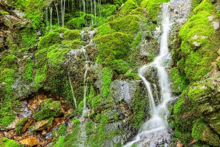 Little cascade over green mossの写真素材