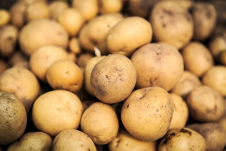 Bunch of potatoの写真素材