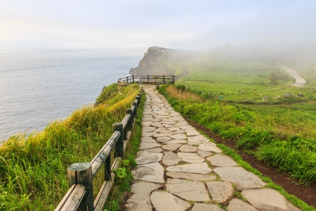 Pathway at shore with fogの写真素材