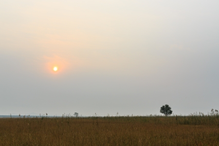 Sunrise over the fieldの写真素材