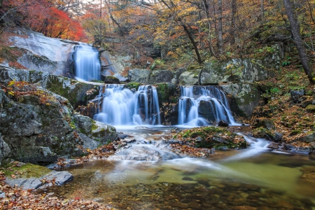 Autumn foliage and cascadeの写真素材