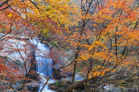 Autumn foliage and cascadeの写真素材