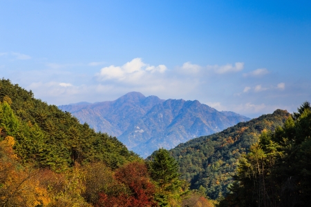 Mountain with autumn foliageの写真素材