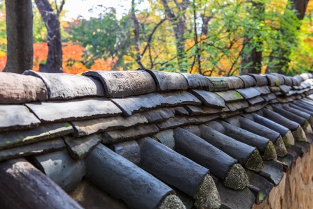 Wall of palaceの写真素材