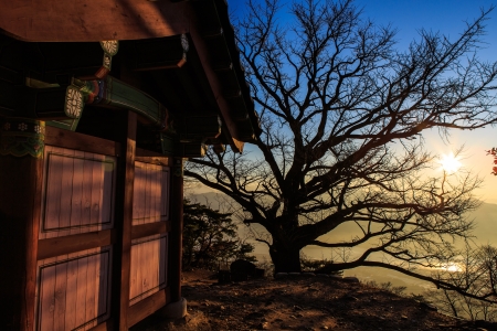 Morning sunshineの写真素材