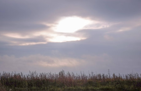 field landscape on a cloudy dayの写真素材