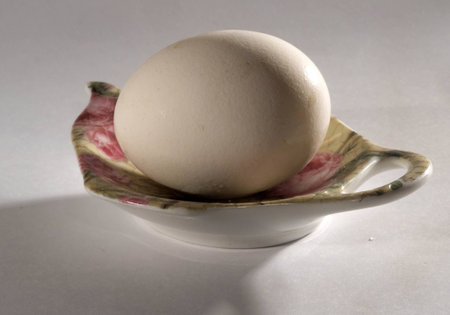 boiled chicken egg on a saucerの写真素材